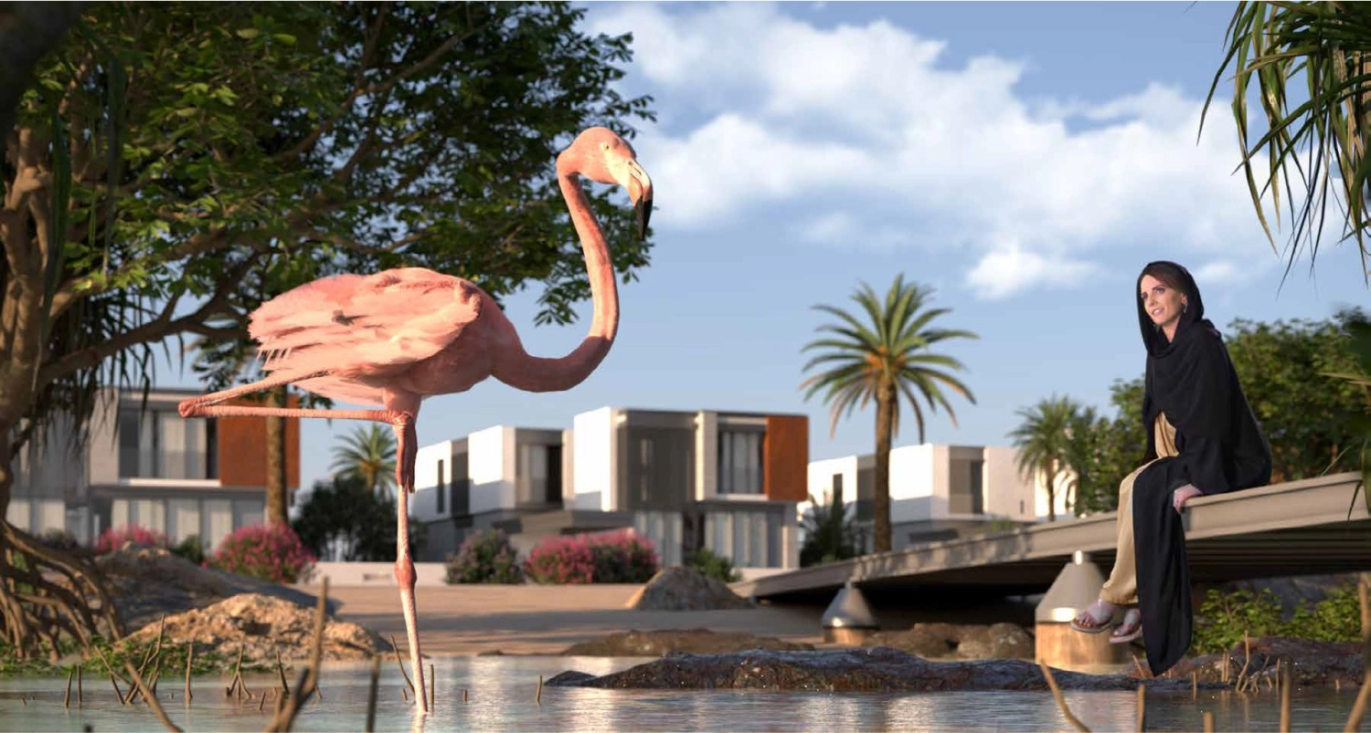 Aerial view of Saadiyat Lagoons showcasing waterfront homes and nature trails